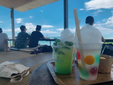 初めまして🌱